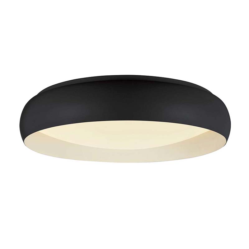 Black Livia
